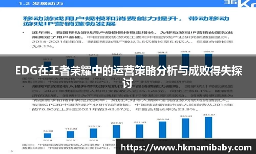EDG在王者荣耀中的运营策略分析与成败得失探讨