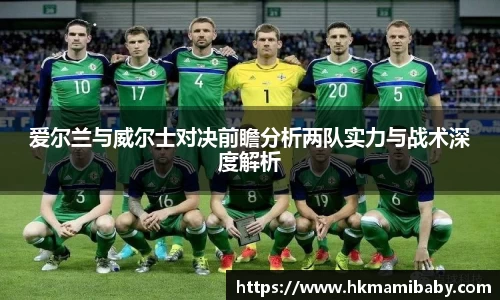 28圈体育