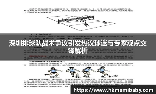 深圳排球队战术争议引发热议球迷与专家观点交锋解析